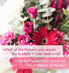 Which of the flowers you would like to place in your bedroom?  It can be measured if you have the problems of money?