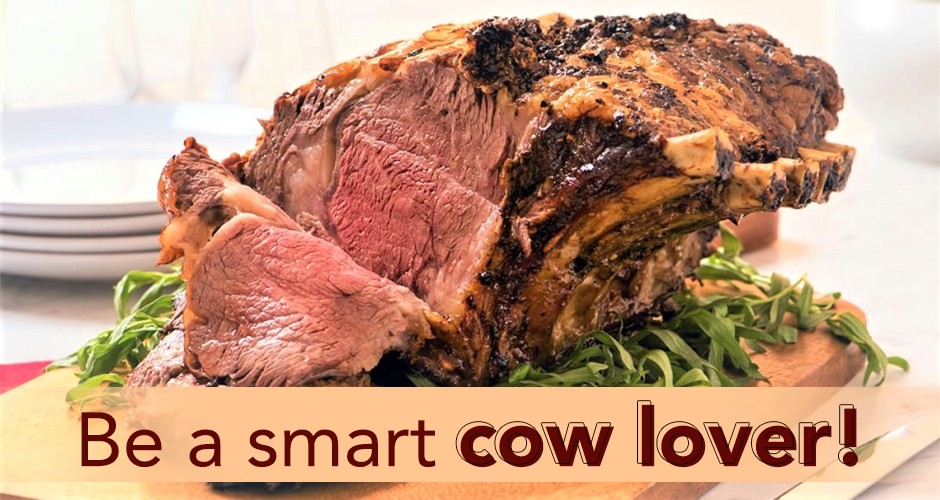 Be a smart cow lover!