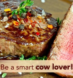 Be a smart cow lover!