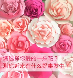 请选择你爱的一朵花？测你近来有什么好事发生？