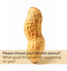 Please choose your favorite peanut? What good things will be happening on you?